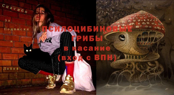 индика Лабытнанги