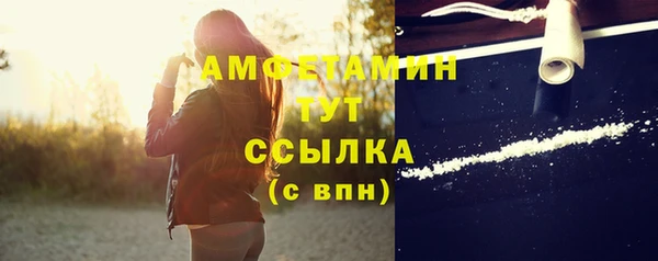 индика Лабытнанги