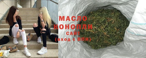индика Лабытнанги